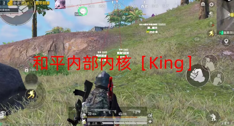 和平卡盟全网最低价稳定卡盟-和平内部内核